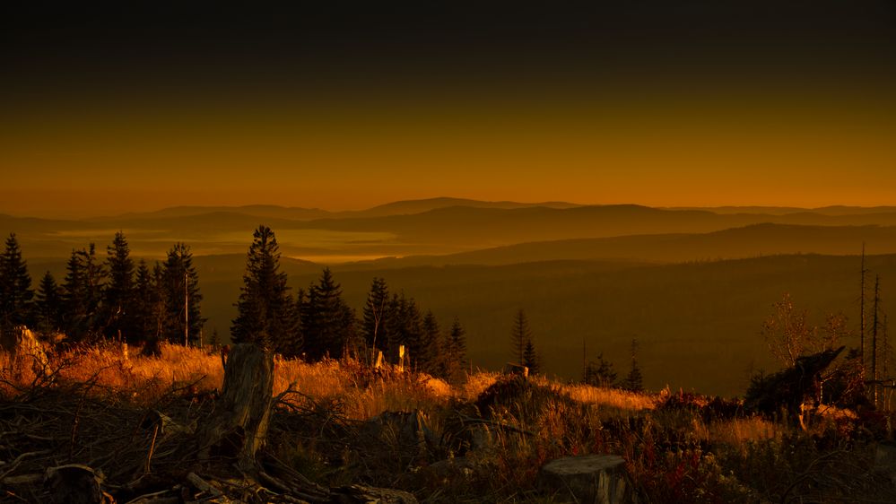 Frühmorgens im Böhmerwald