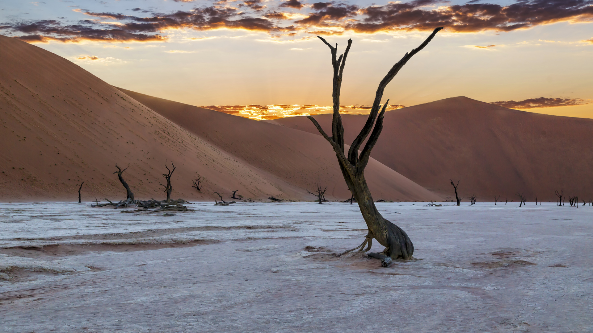 Frühmorgens im Dead Vlei