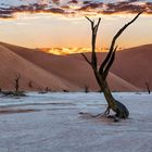 Frühmorgens im Dead Vlei