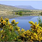 Frühmorgens im Glenveagh Nationalpark