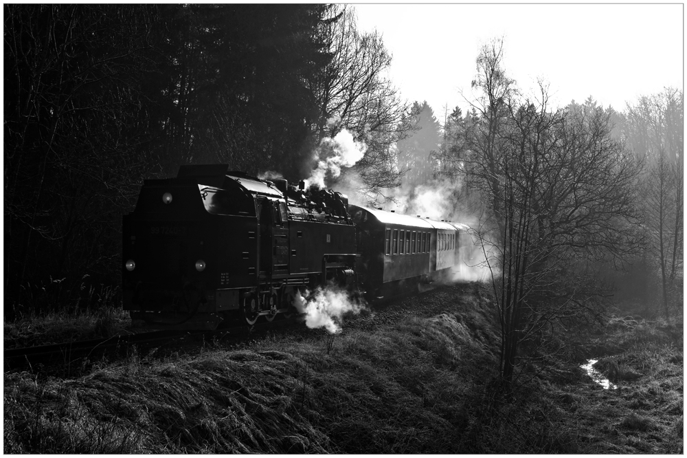 Frühmorgens im Harz