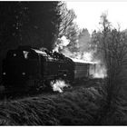 Frühmorgens im Harz