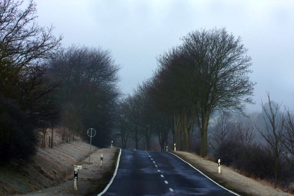 Frühmorgens im Hunsrück... (2)