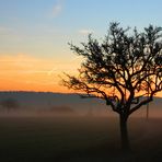 Frühmorgens im Hunsrück...