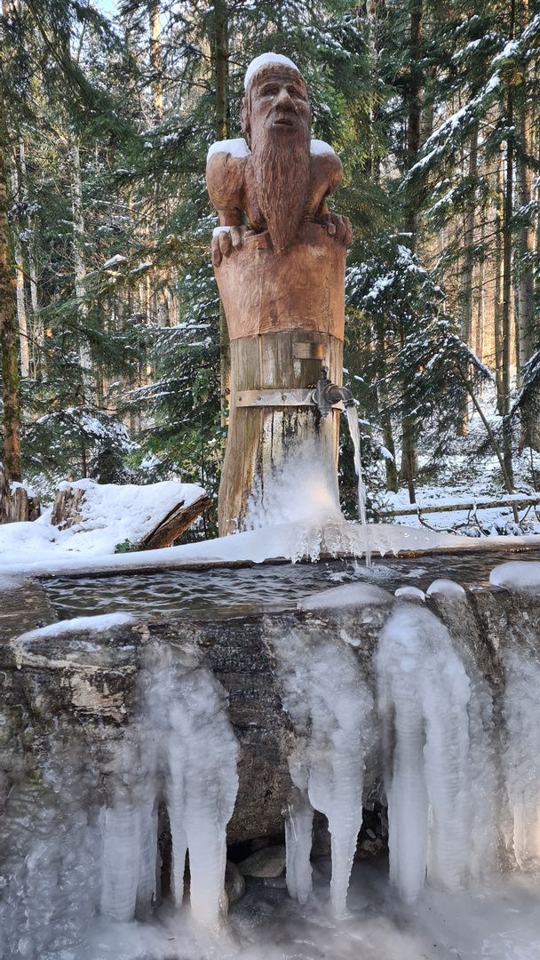 Fruehmorgens im Januar