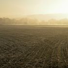 Frühmorgens im Leinepolder.