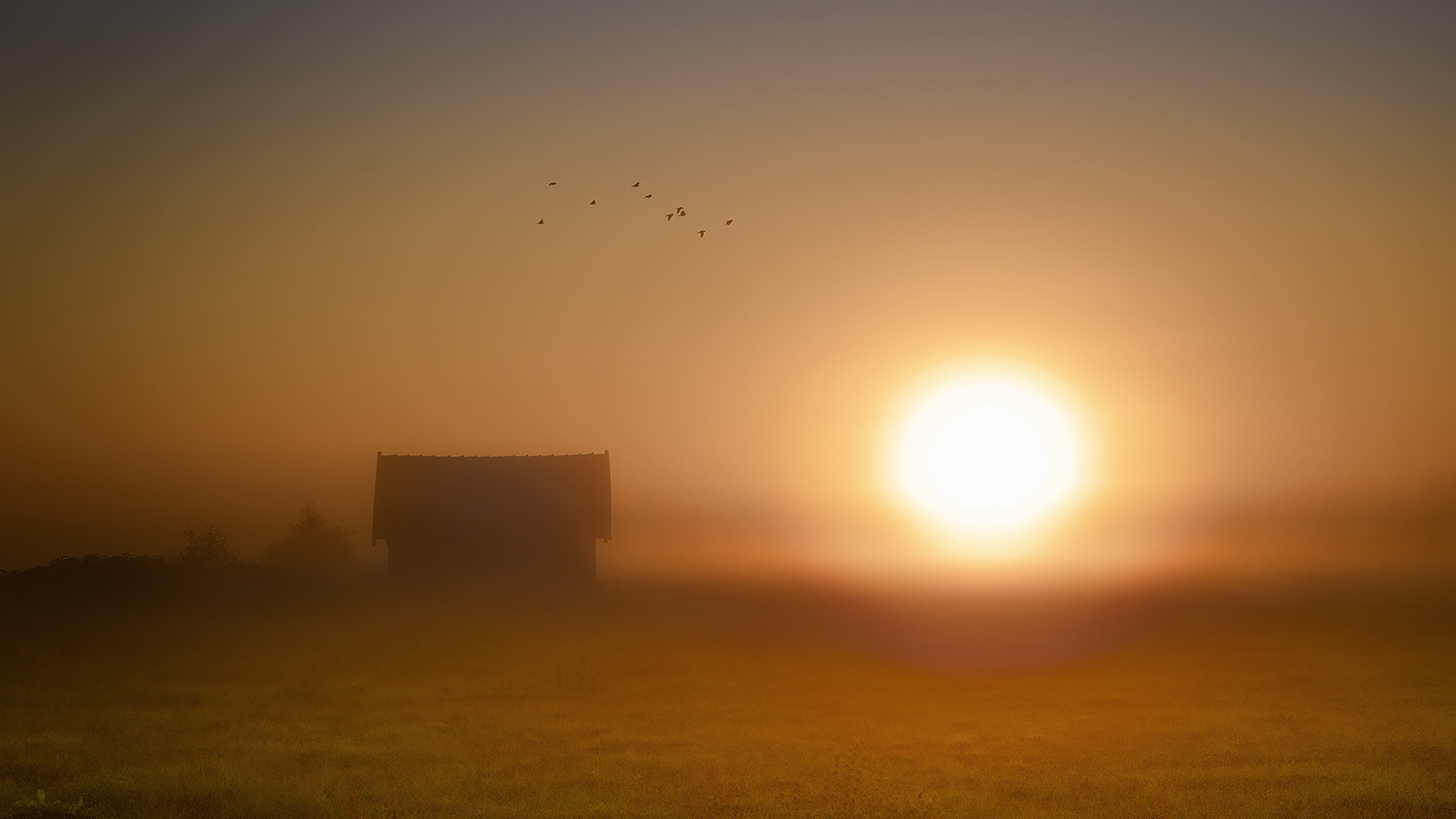 Frühmorgens im Moor