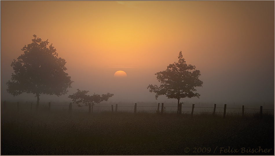 Frühmorgens im Moor...