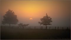 Frühmorgens im Moor...