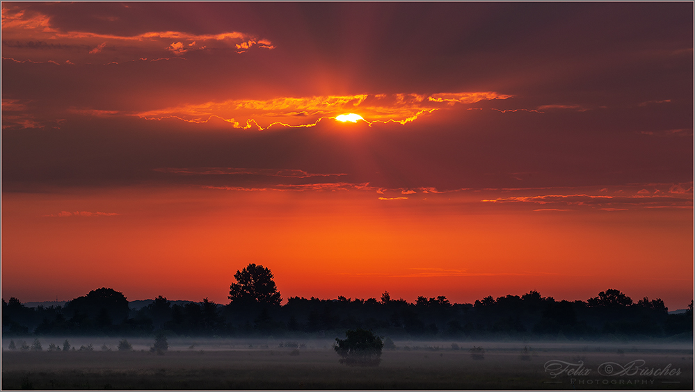 Frühmorgens im Moor