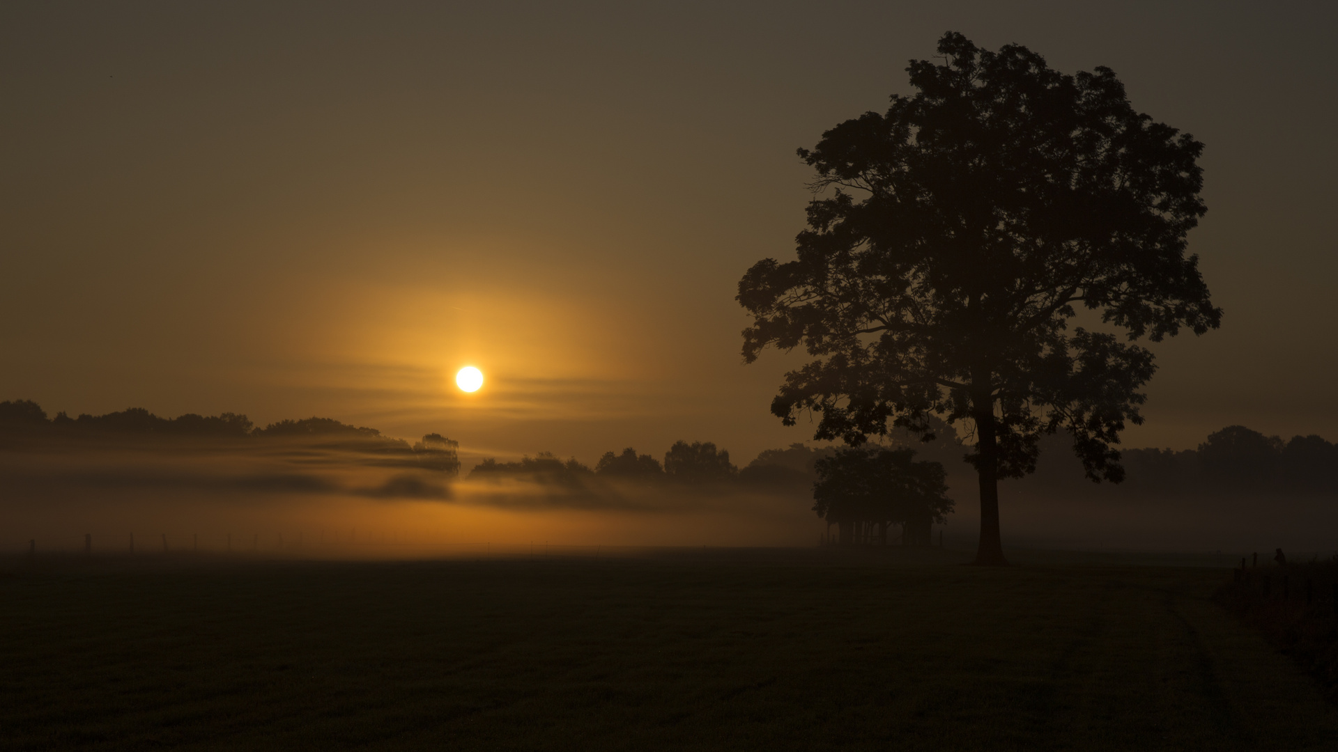 Frühmorgens im Münsterland