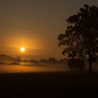 Frühmorgens im Münsterland