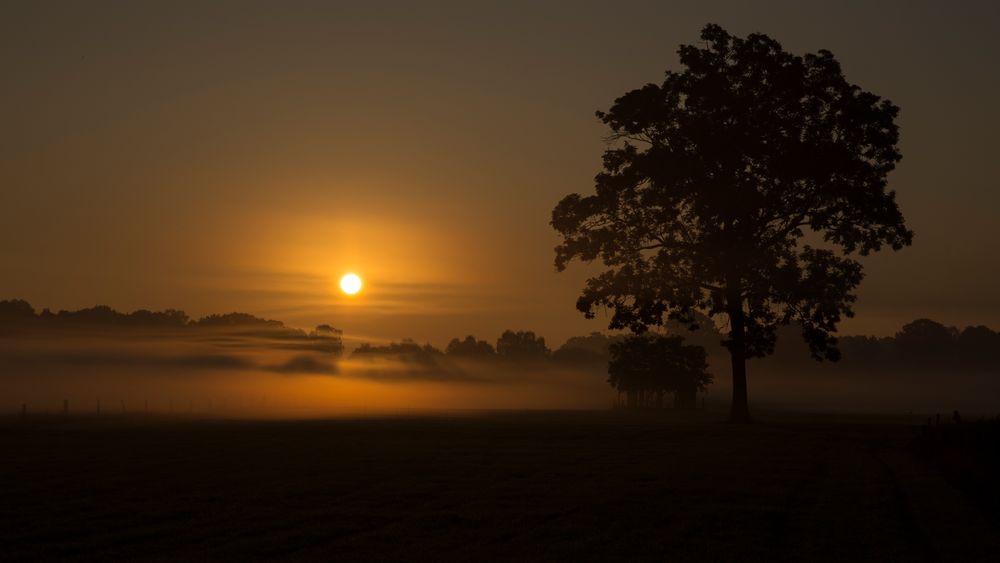 Frühmorgens im Münsterland