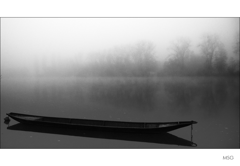 Frühmorgens im Nebel