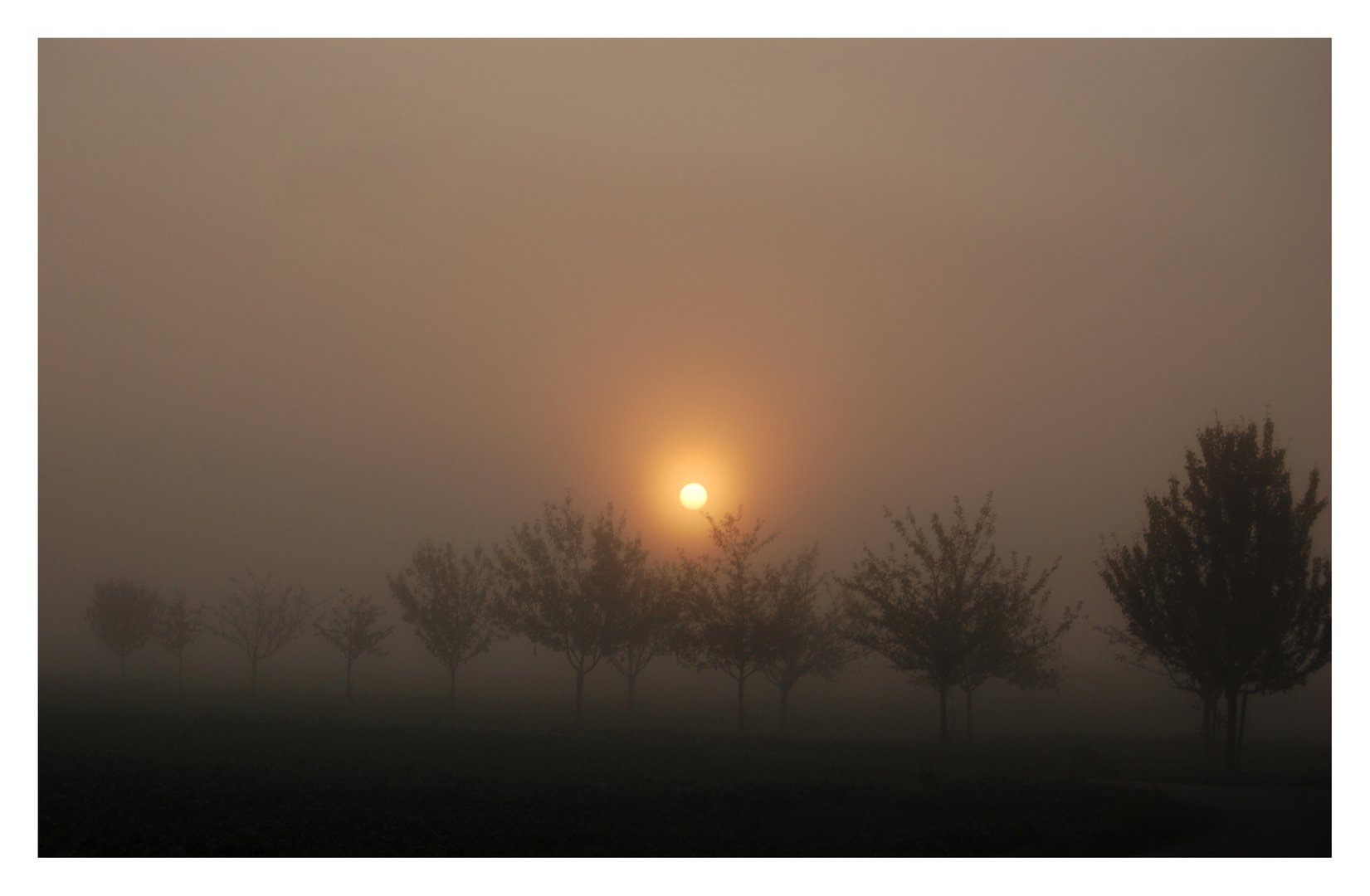 Frühmorgens im November