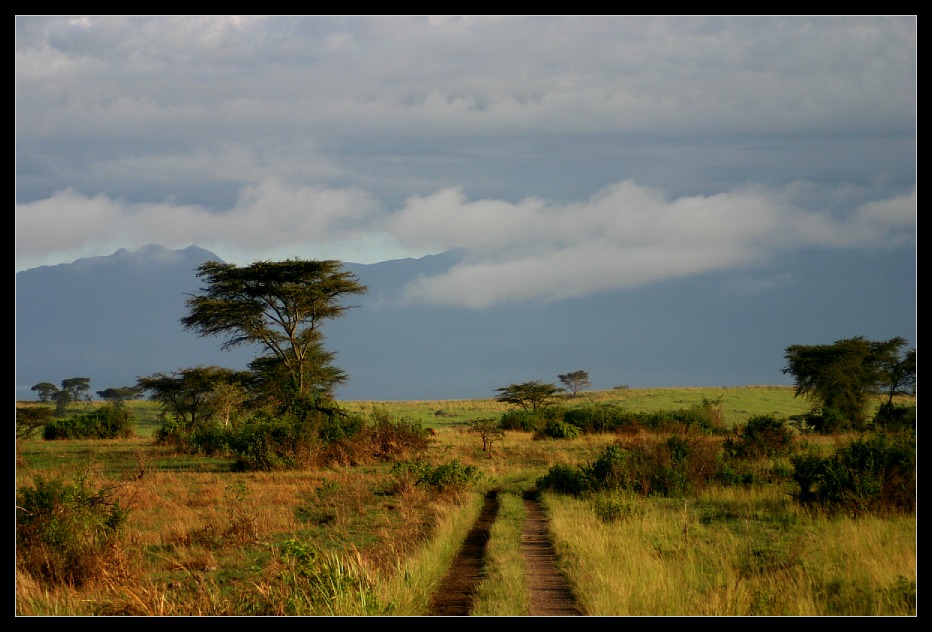 Fruehmorgens im Queen Elizabeth NP, Uganda