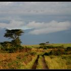 Fruehmorgens im Queen Elizabeth NP, Uganda