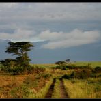 Fruehmorgens im Queen Elizabeth NP, Uganda