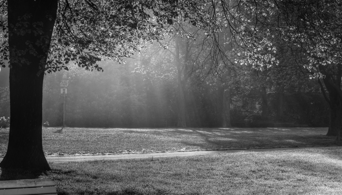 Frühmorgens im Schlosspark