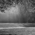 Frühmorgens im Schlosspark