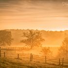 Frühmorgens im Siebengebirge