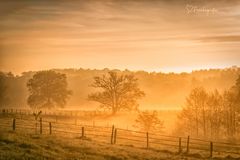 Frühmorgens im Siebengebirge