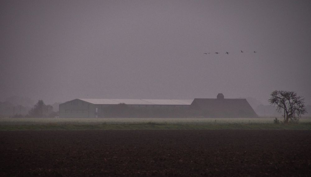 Frühmorgens in Aschen