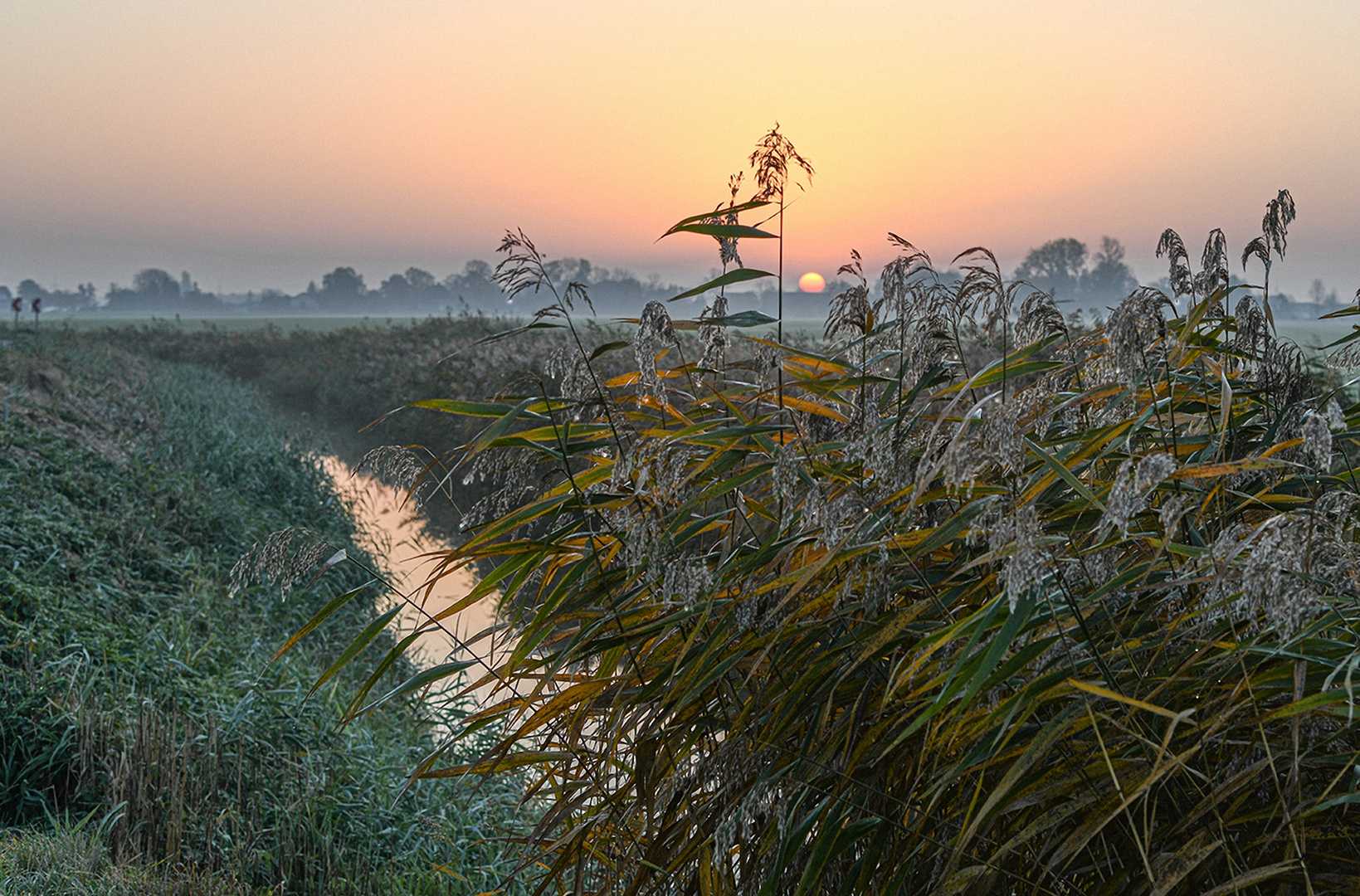 Frühmorgens in der Elbmarsch