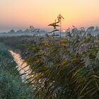 Frühmorgens in der Elbmarsch