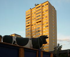 Frühmorgens in der Geiselbergstraße