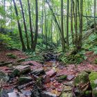 Frühmorgens in der Margarethenschlucht