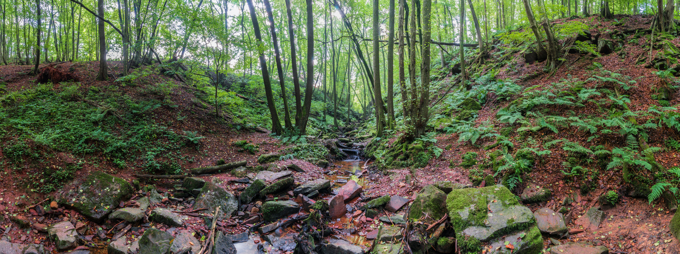 Frühmorgens in der Margarethenschlucht