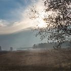 Frühmorgens in der winterlichen Heide