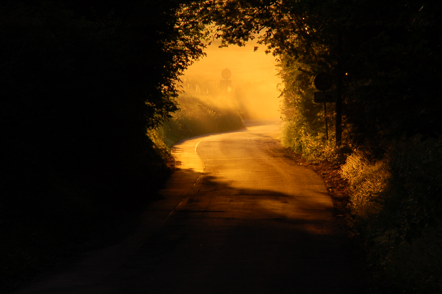 Frühmorgens in Dornbusch