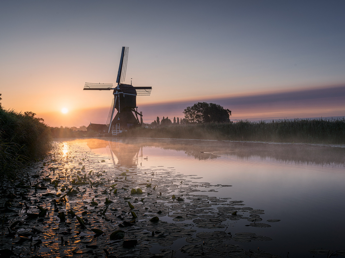 Frühmorgens in Holland 