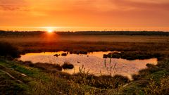 Frühmorgens in "meinem" Moor