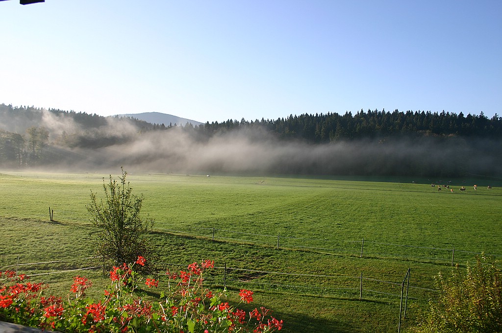 Frühmorgens in Miesbach