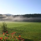 Frühmorgens in Miesbach