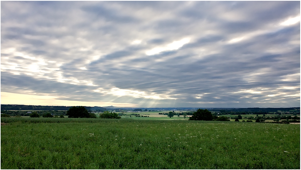 Frühmorgens in Oberschwaben