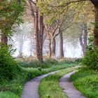 frühmorgens in Ostfriesland