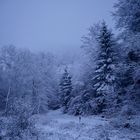 Frühmorgens liegt der erste Schnee