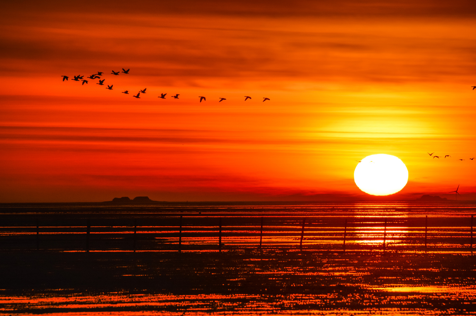 Frühmorgens über dem Watt vor Föhr