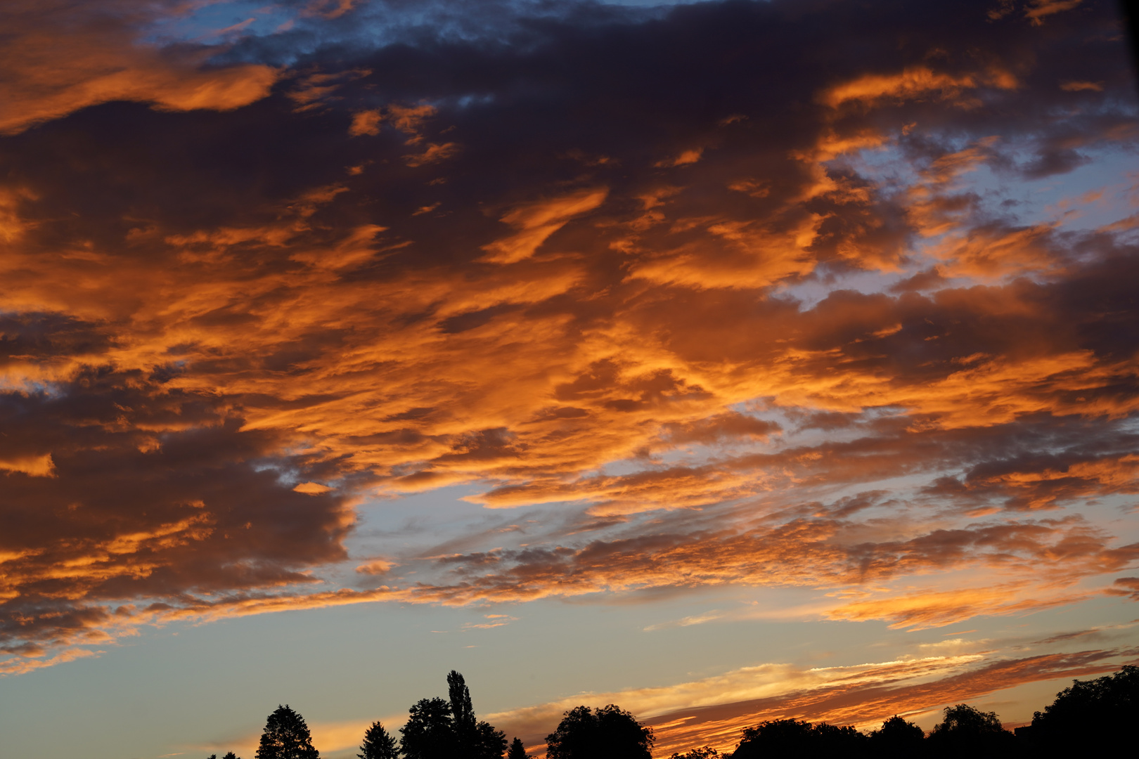 Frühmorgens um 5.00 Uhr erwacht die Natur