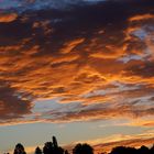 Frühmorgens um 5.00 Uhr erwacht die Natur