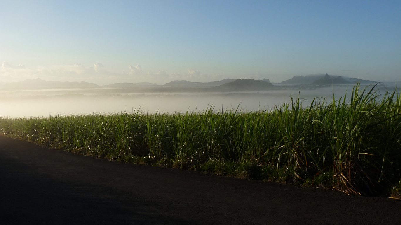 Frühmorgens um 6:30 auf Mauritius