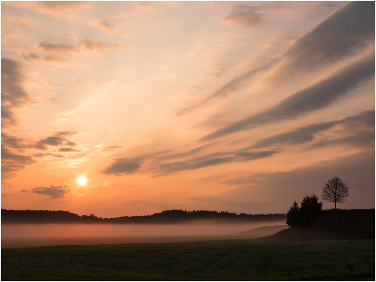 frühmorgens---vorgestern