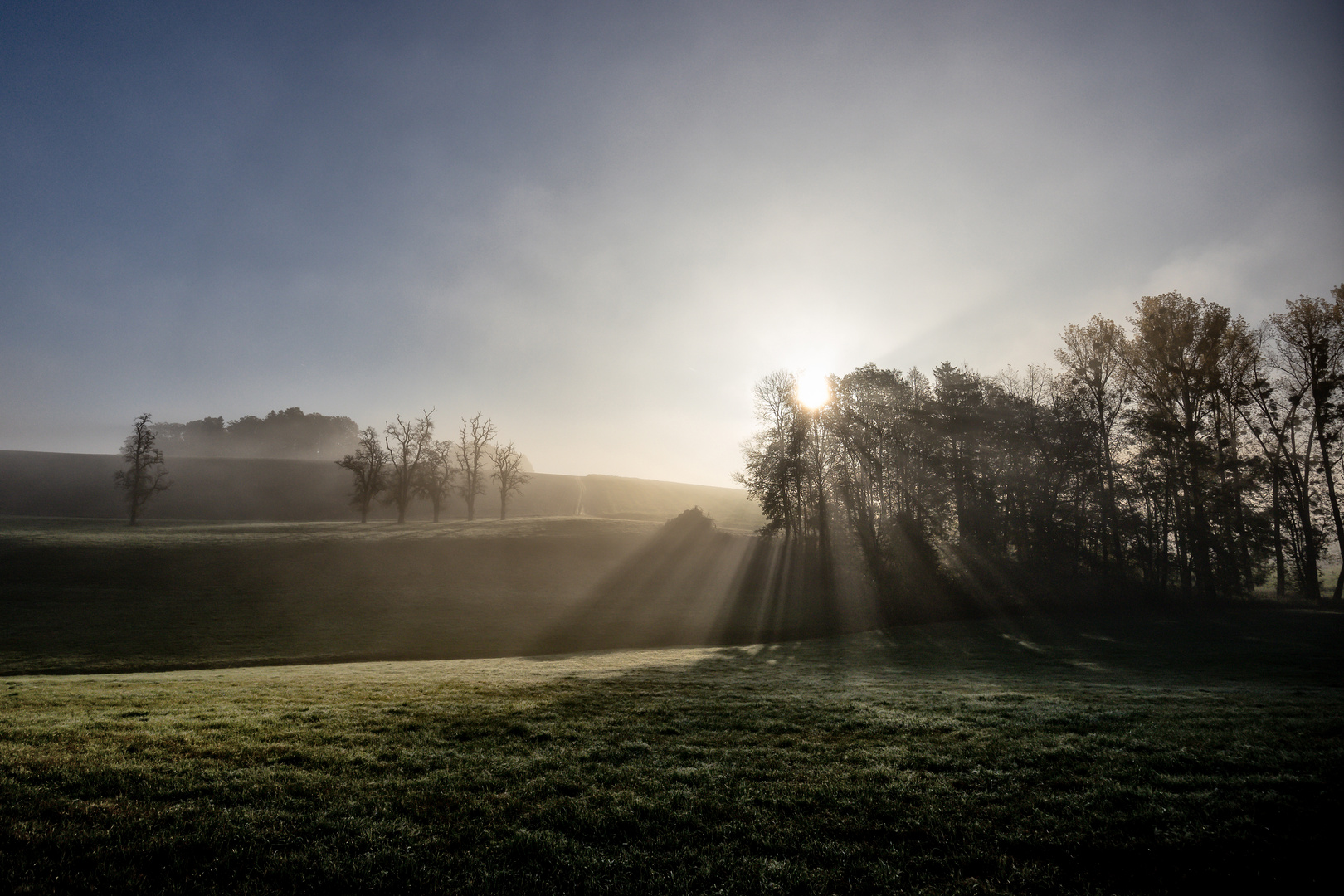 Frühmorgens wenn die Sonne kommt !