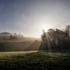 Frühmorgens wenn die Sonne kommt !