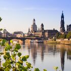 Frühmorgentlicher Blick auf Dresden