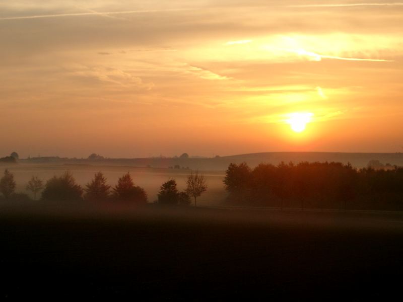 Frühnebel